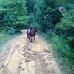 Sarah DeRose - Facebook