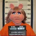 Sara Derr - @sassysara007 - Instagram