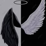 sara.dery - @sara.dery.1 - Instagram