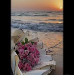 Sara Dewdar - Facebook