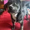 Sara Devlin-Wandahsega - @sara.devlinwandah - TikTok