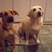 Sara Dewald - Facebook