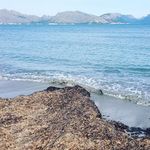 Sarah Dexter - @sarah.turcotte.520 - Instagram