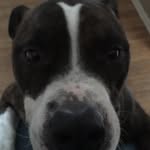 Sara Dinger - @saradinger - Instagram