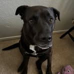 Sara Dodge - Facebook