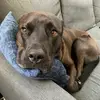 Sara Dodge - @saraemdodge - TikTok