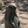 Sarah - @sarah.dodge - TikTok