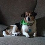 Sara Dodson - @aerocatgirl - Instagram