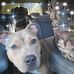 Sara Dominy - Facebook