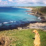 Sarah Doolin and Craig Pollard - @walkingforezrah - Instagram