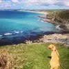 Sarah Doolin - @walkingforezrah - TikTok