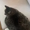 cañadadry - @saradoraa - TikTok