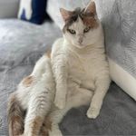 Sara Dorman - @sarita.dorman - Instagram
