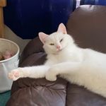 saradrost12 - @saradrost12 - Instagram