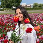 Sarah Droste Santana - @sarahdroste - Instagram