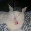 This is my backup - @sara_drost87 - TikTok