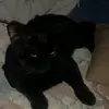 shylynn - @saraheasley0022 - TikTok
