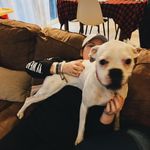 Sara Easter - @sara.thedogwalker - Instagram