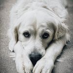 Sara Easter - @myboyjasper - Instagram
