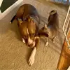 Sarah Eberle477 - @sarahtrip3342272 - TikTok