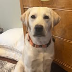 Sarah Eckhart - @skeetergram22 - Instagram