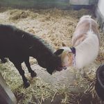 SarahE - @sarah.eisler.9 - Instagram