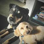 Sara Blumstein Elkin - @saraelkin10 - Instagram