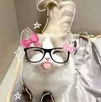 Sara Salah Eldin - Facebook