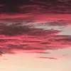 Sara wellington - @sara.wellington2 - TikTok