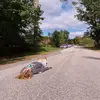 sarah - @sarahsernst - TikTok