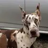 Sara - @saraerwin04 - TikTok