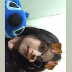 Sara yirjandry Escandon - @sarayirjandry - Instagram