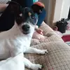 Sara Etheridge - @sara.etheridge4 - TikTok