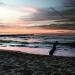 Sara Fallon - @sarafallon2 - Instagram