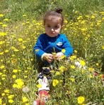 Sara Farah - Facebook