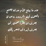 Sara Farah - @farah8355 - Instagram