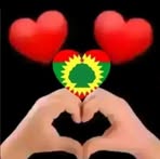 Sara Farah - Facebook
