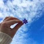 Sara Mehak Farooqui - @saramehak20 - Instagram