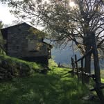 Sara Del Fedele - @delfedelesara - Instagram