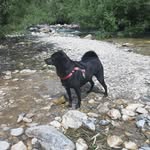 sara fedele - @sarafy_2004 - Instagram