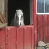 sarahfedele249 - @sarahfedele249 - TikTok