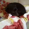 Sara Federlein - @sarafederlein - TikTok