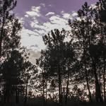 Sara Fera - @is_just_photos - Instagram