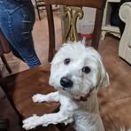 Sara Ferrante - Facebook