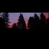 sarah_field - @sarah_field - TikTok