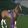 sara.flake - @sara.flake - TikTok