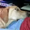 Sarah Flake - @sarah.flake - TikTok