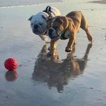 Sara Atzert Flickinger - @atzertflickinger - Instagram