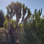 Sarah Goodyear Flickinger - @slomommomming - Instagram