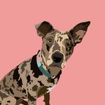 Sara Flinn - @mybestfriend_portraits - Instagram